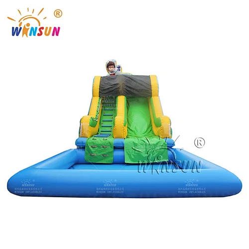 Custom Inflatable Water Slide with Pool Paw Patrol Theme