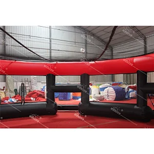 Inflatable Cageball Game