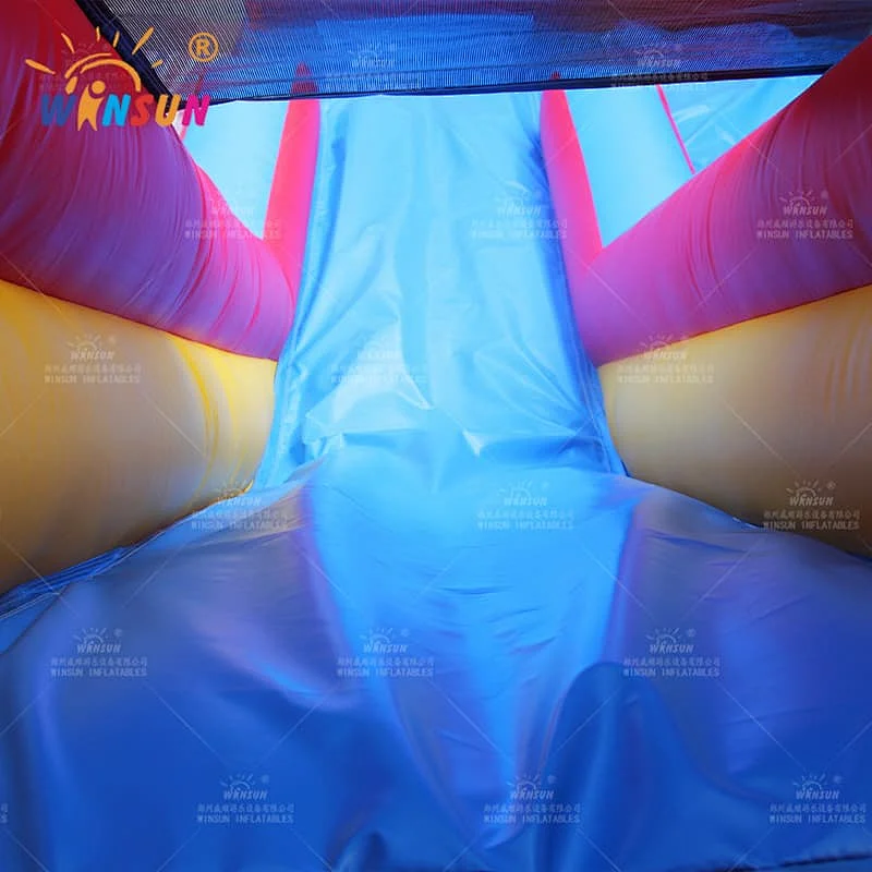 Inflatable Jumping Castle Dual Lane Slide