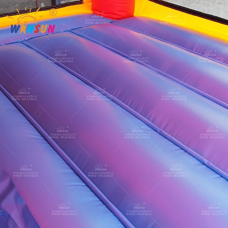 Inflatable Jumping Castle Dual Lane Slide