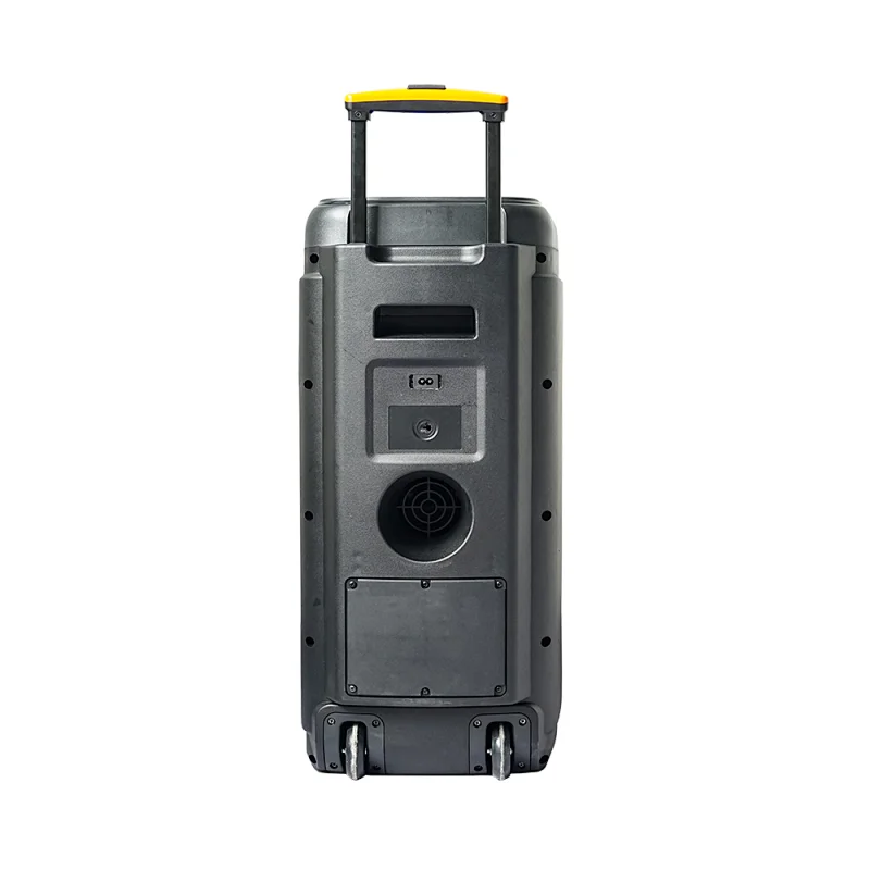 2022 Hot Sale Private Model double 8 inch karaoke trolley speaker party box 1000