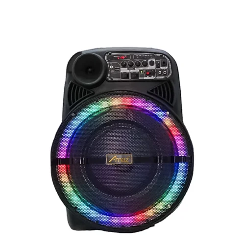New Arrival 15 inch trolley speakers multifunctional wireless portable speaker