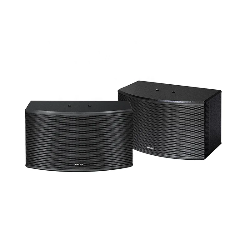 Philips OEM Professional Audio 10 Inch Passive Pair Speaker for KTV