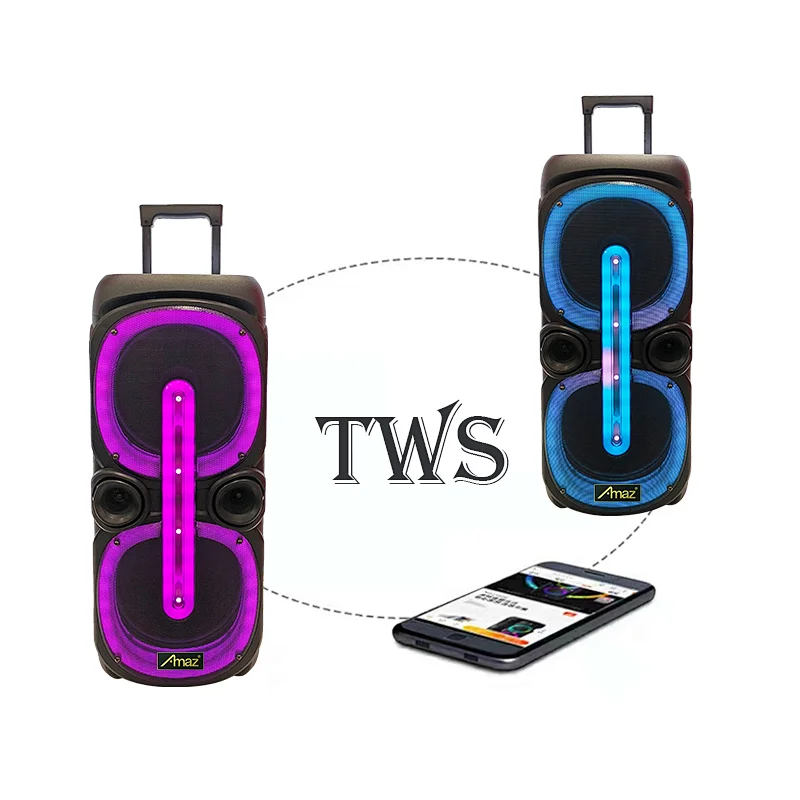2*10inch LED light speaker