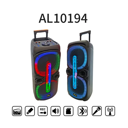 2*10inch LED light speaker