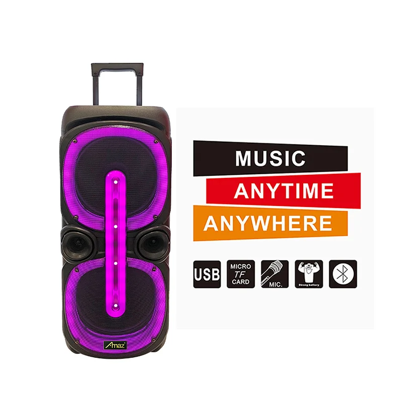 2*10inch LED light speaker