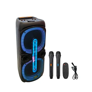 2*10inch LED light speaker