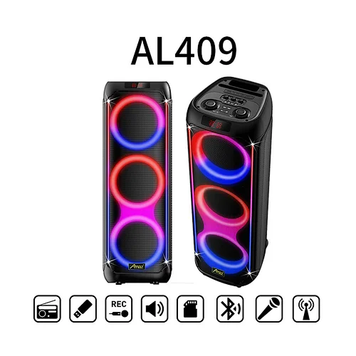 Manufactory Price 2*8inch LED light Karaoke  AL409Wireless OEM Portable BT Party Speaker