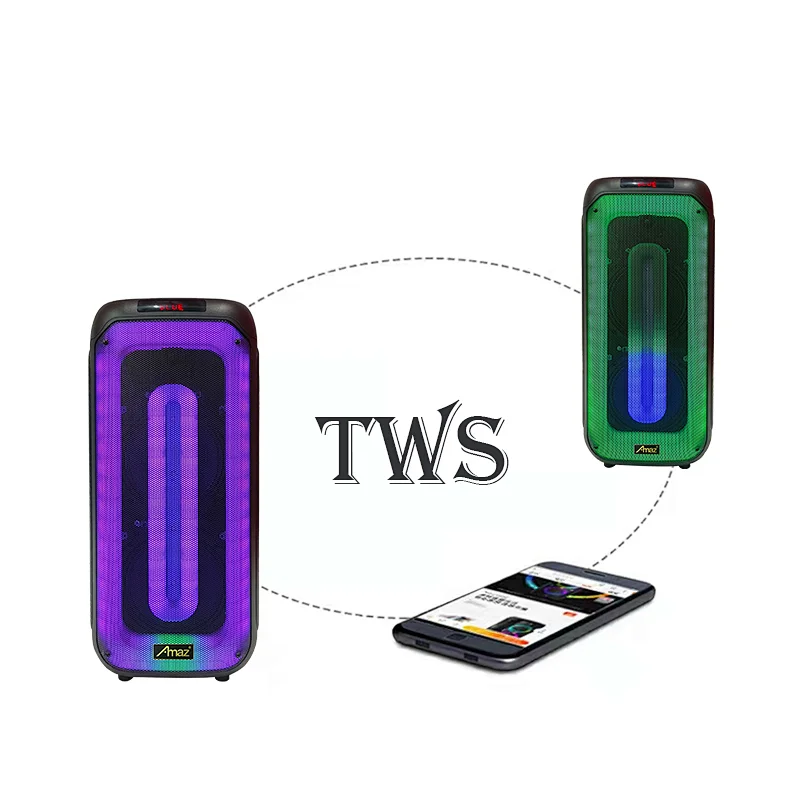 Manufactory Price 2*8inch LED light Karaoke  AL408HWireless OEM Portable BT Party Speaker
