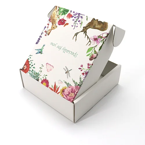 Personalized Custom Color Printed Corrugated Carton White Shipping Paper Packaging Book Mailer Box