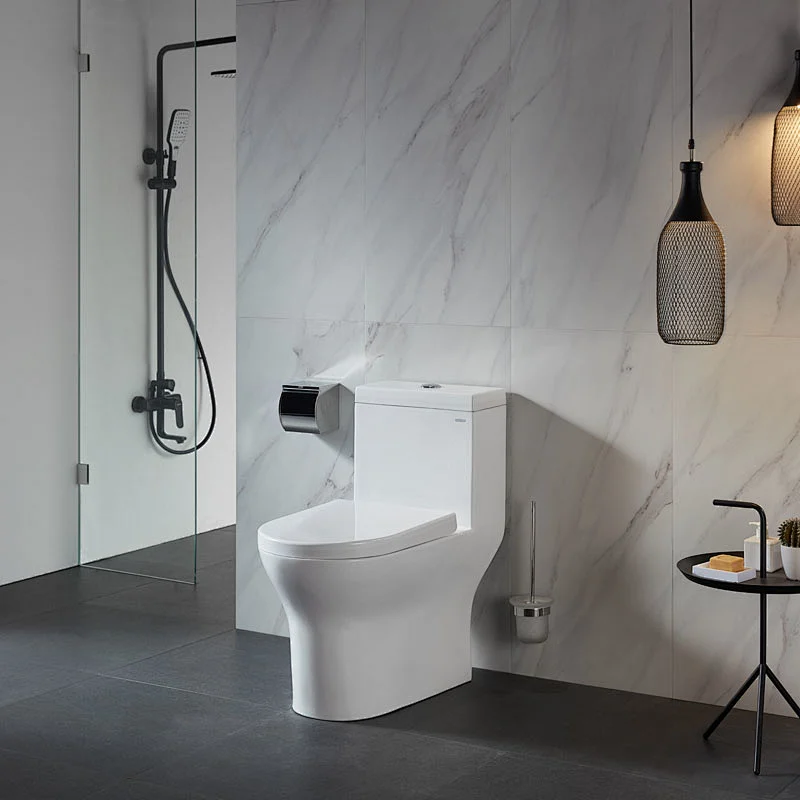 CO1176 One piece Toilet