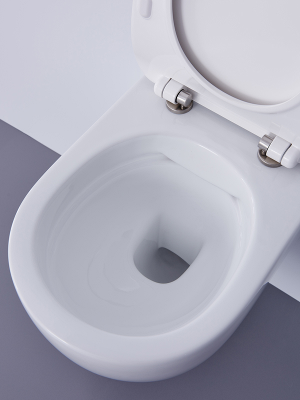 Rimfree toilet deals