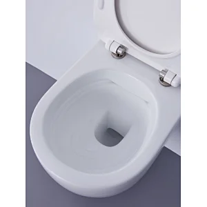 Rimfree wall hung toilet CT2038V