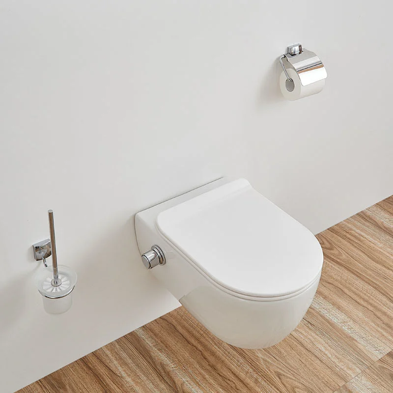 Rimfree wall hung toilet with bidet function CT2039V-B