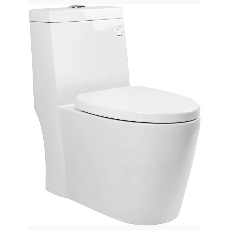 CO1069 One-piece Toilet