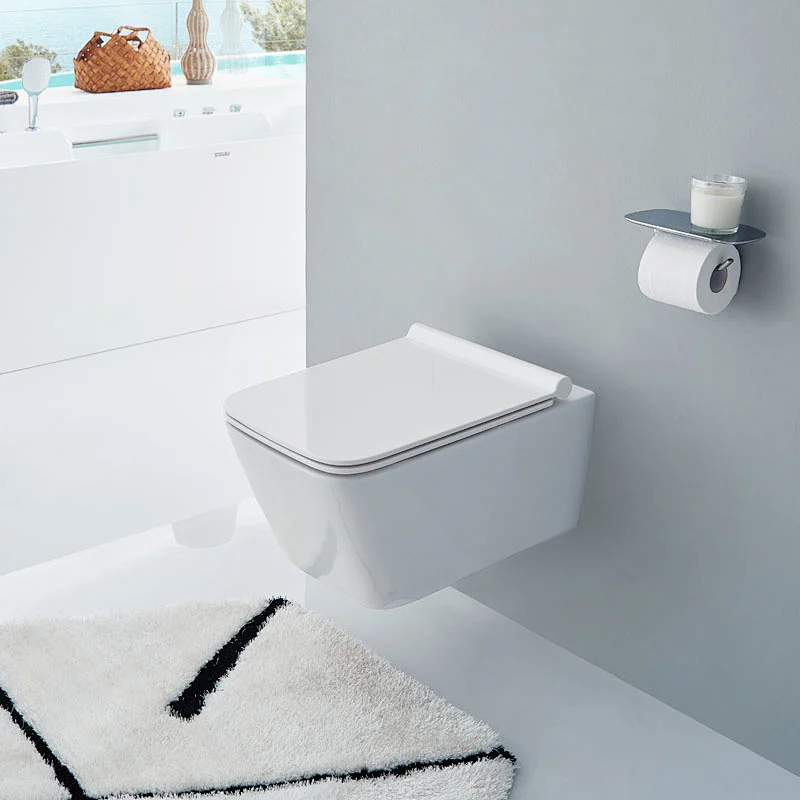 CT2041 Wall hung toilet