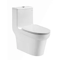 CO1171 One-piece Toilet