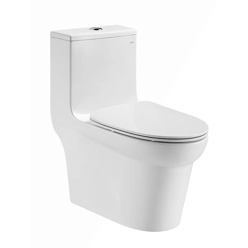CO1171 One-piece Toilet