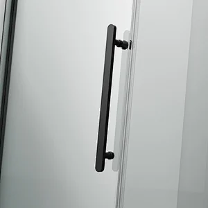 WD65-Z31 Shower Enclosure