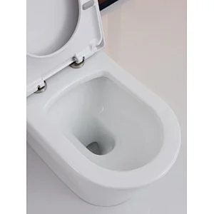 CT2046 Two-piece toilet