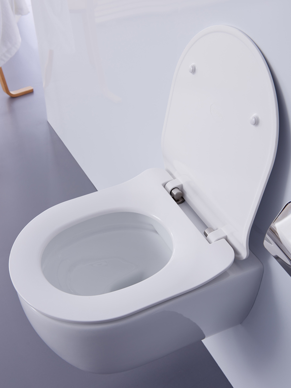 Rimfree toilet 2024