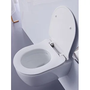 Rimfree wall hung toilet CT2038V