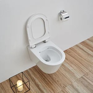 CT2063 Rimfree wall hung toilet