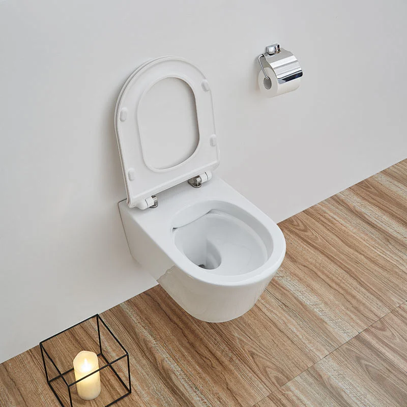 CT2063 Rimfree wall hung toilet