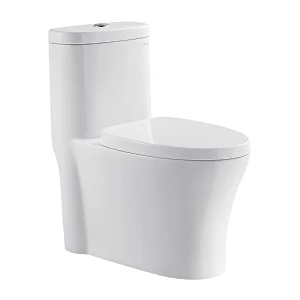 CO1156 One-Piece Toilet