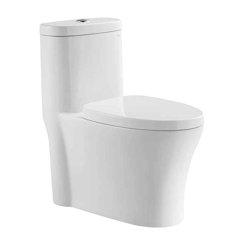 CO1156 One-Piece Toilet