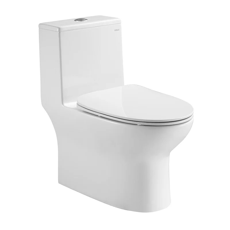 CO1153 One piece toilet