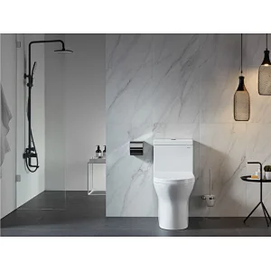 CO1176 One piece Toilet