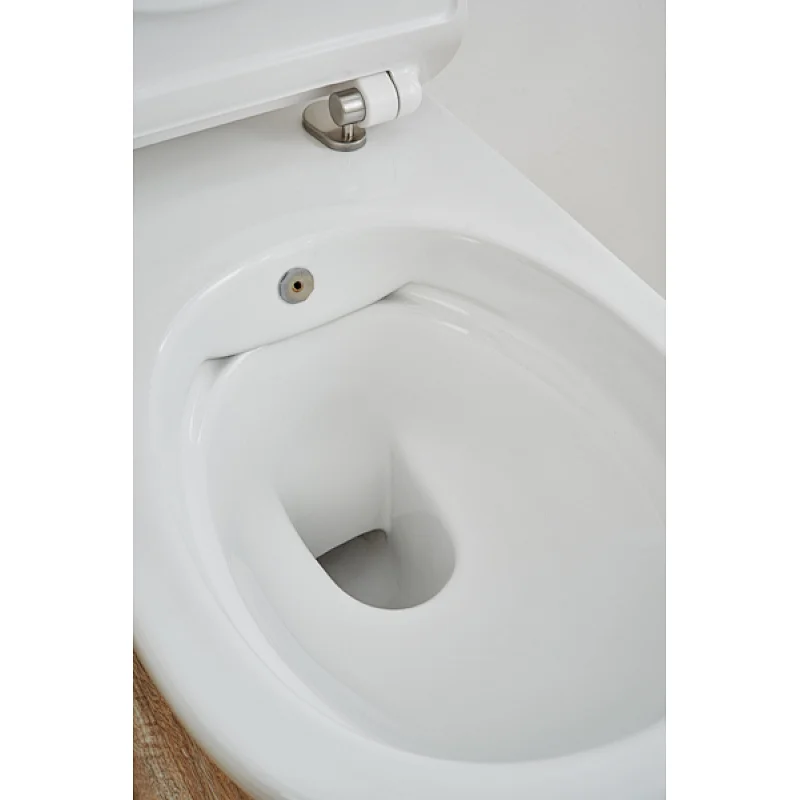 Rimfree wall hung toilet with bidet function CT2039V-B