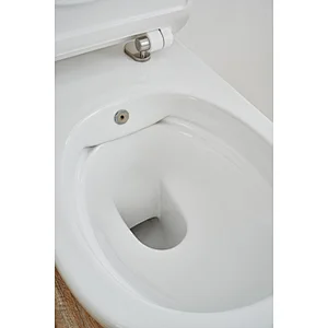 CT2039V-B rimfree wall hung toilet with bidet function