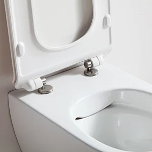 Rimfree Wall Hung Toilet CT2039V