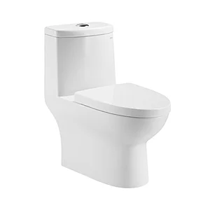 CO1160 One-piece toilet