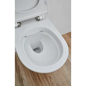 CT2063 Rimfree wall hung toilet