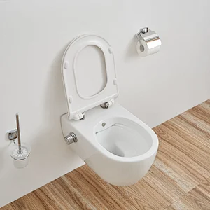 CT2039V-B rimfree wall hung toilet with bidet function