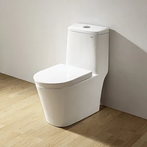 CO1043 One-piece toilet