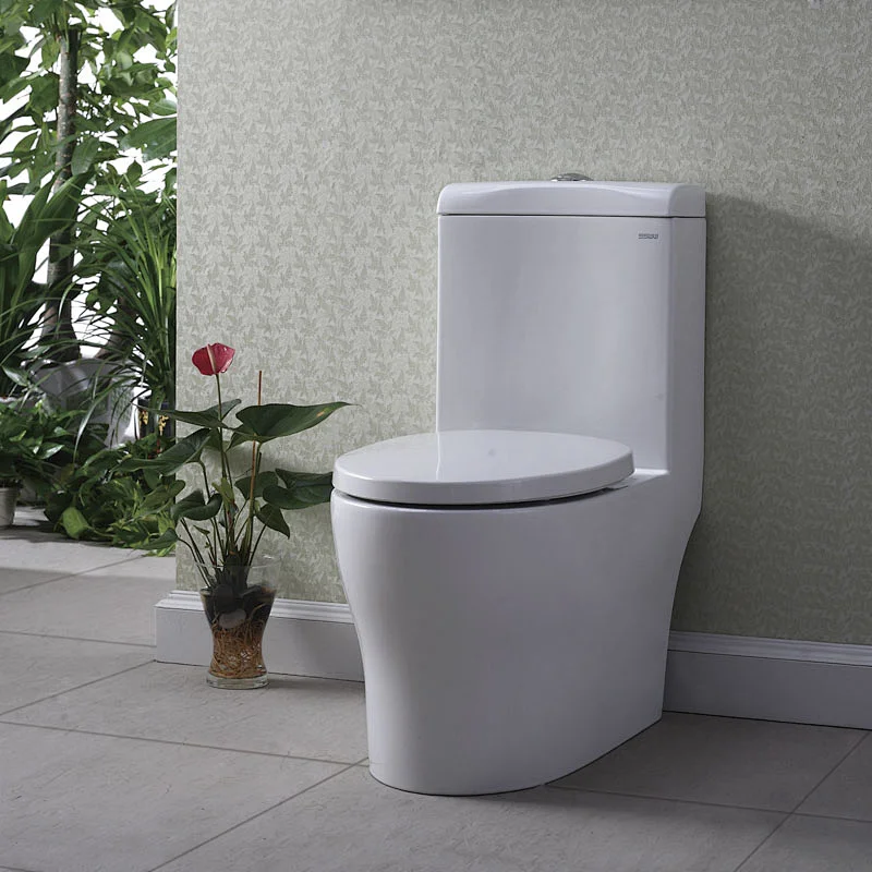 CO1047 One-piece toilet