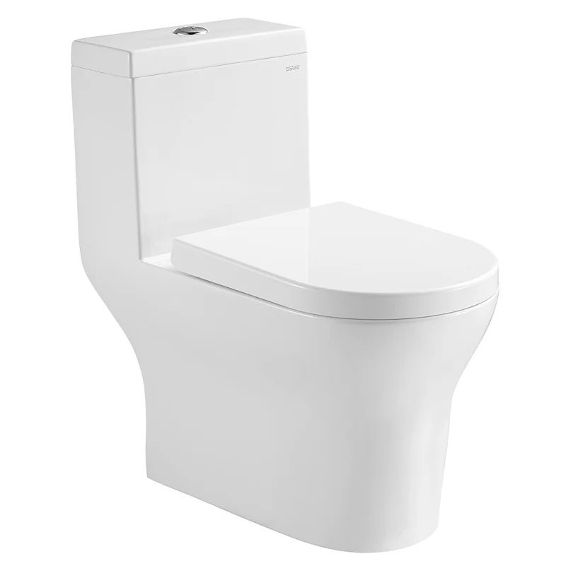 CO1176 One piece Toilet