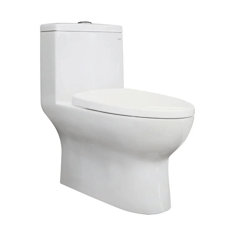CO1085 One Piece Toilet