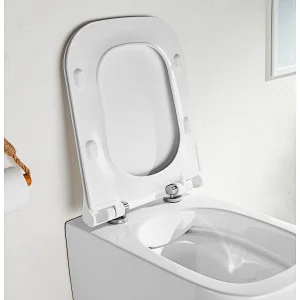 Rimfree wall hung toilet CT2067