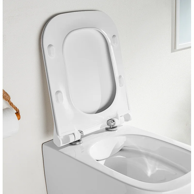 Rimfree wall hung toilet CT2067