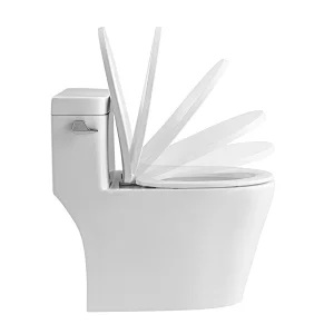 One-piece Ceramic Toilet CO1187