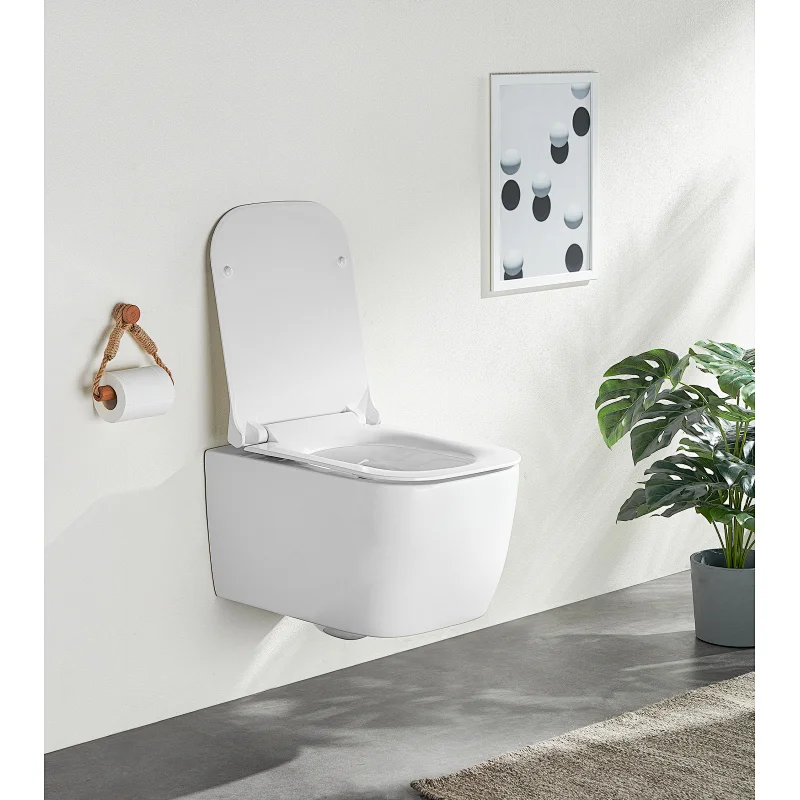 Rimfree wall hung toilet CT2067
