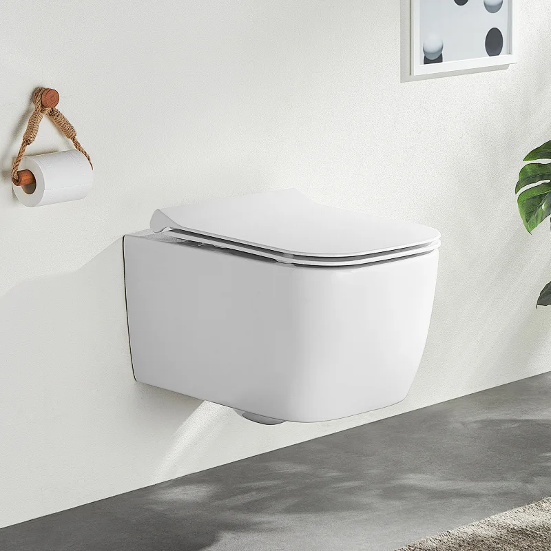 Rimfree wall hung toilet CT2067