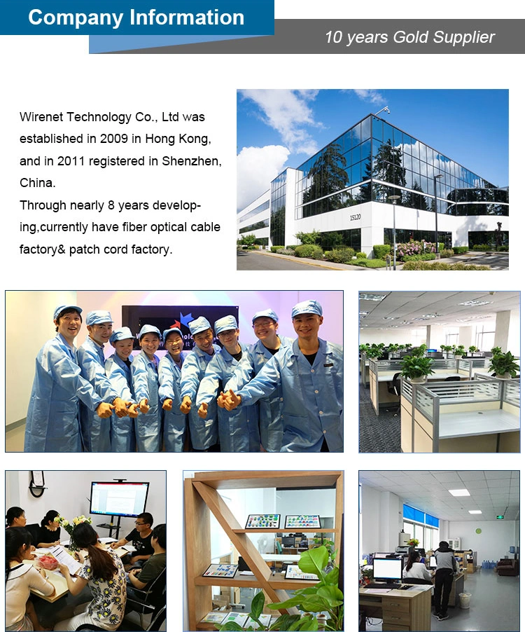 company information