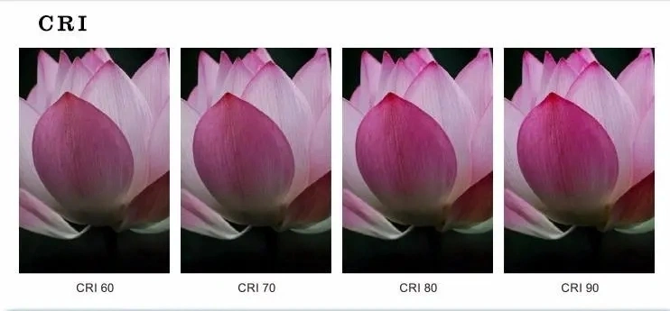 What is Color Rendering Index, why CRI is important
