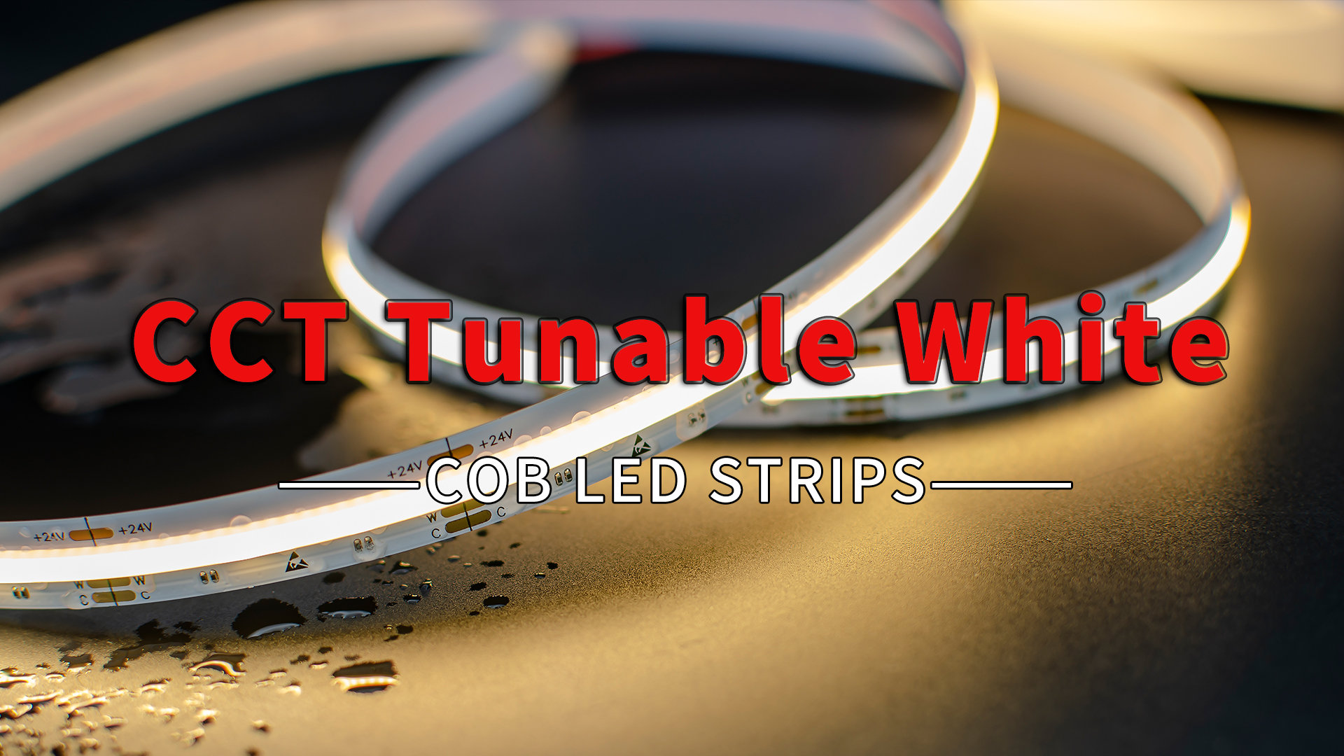 tunable white cob led strips